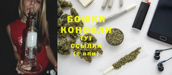 экстази Горняк