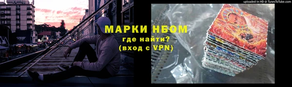 индика Горнозаводск