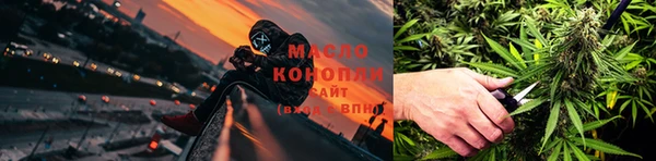 индика Горнозаводск