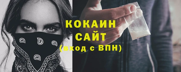 индика Горнозаводск
