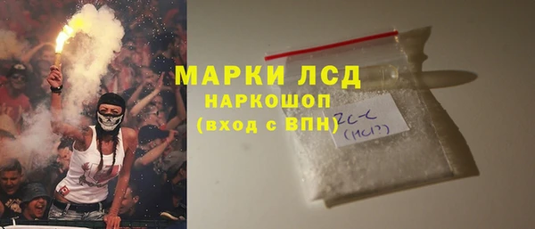 индика Горнозаводск