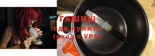 индика Горнозаводск