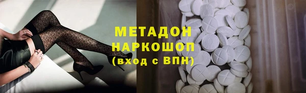 индика Горнозаводск