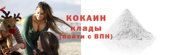 индика Горнозаводск
