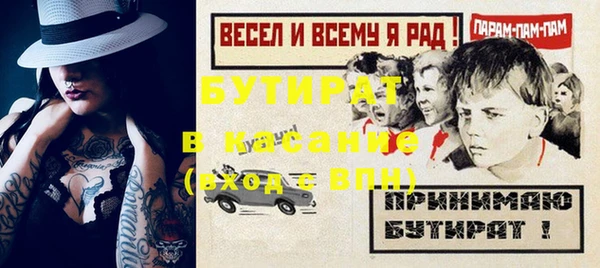 индика Горнозаводск