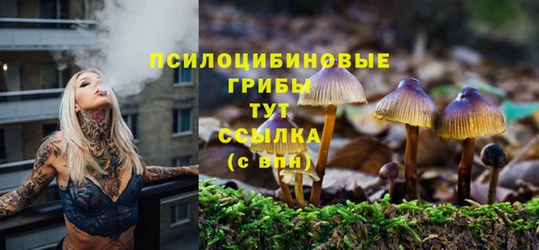 индика Горнозаводск