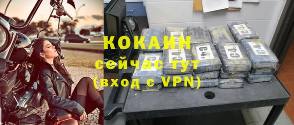 экстази Горняк