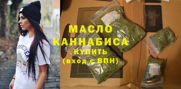 индика Горнозаводск
