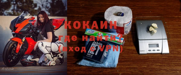 индика Горнозаводск