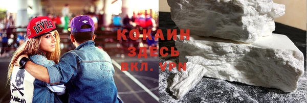 индика Горнозаводск