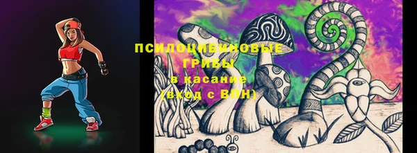 бошки Горно-Алтайск