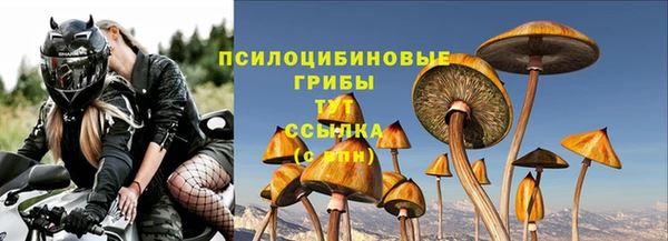 экстази Горняк