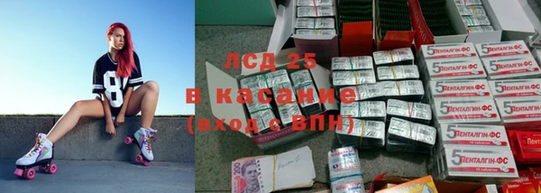 индика Горнозаводск