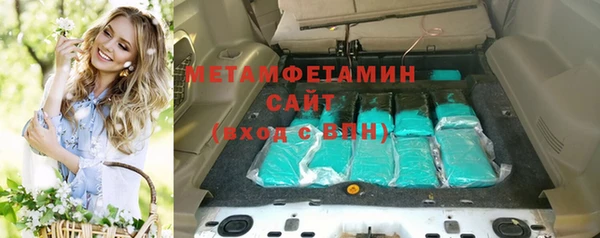 индика Горнозаводск