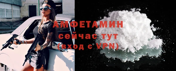 индика Горнозаводск