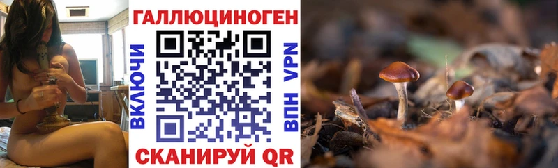 Купить где  Переславль-Залесский  Псилоцибиновые грибы MAGIC MUSHROOMS 